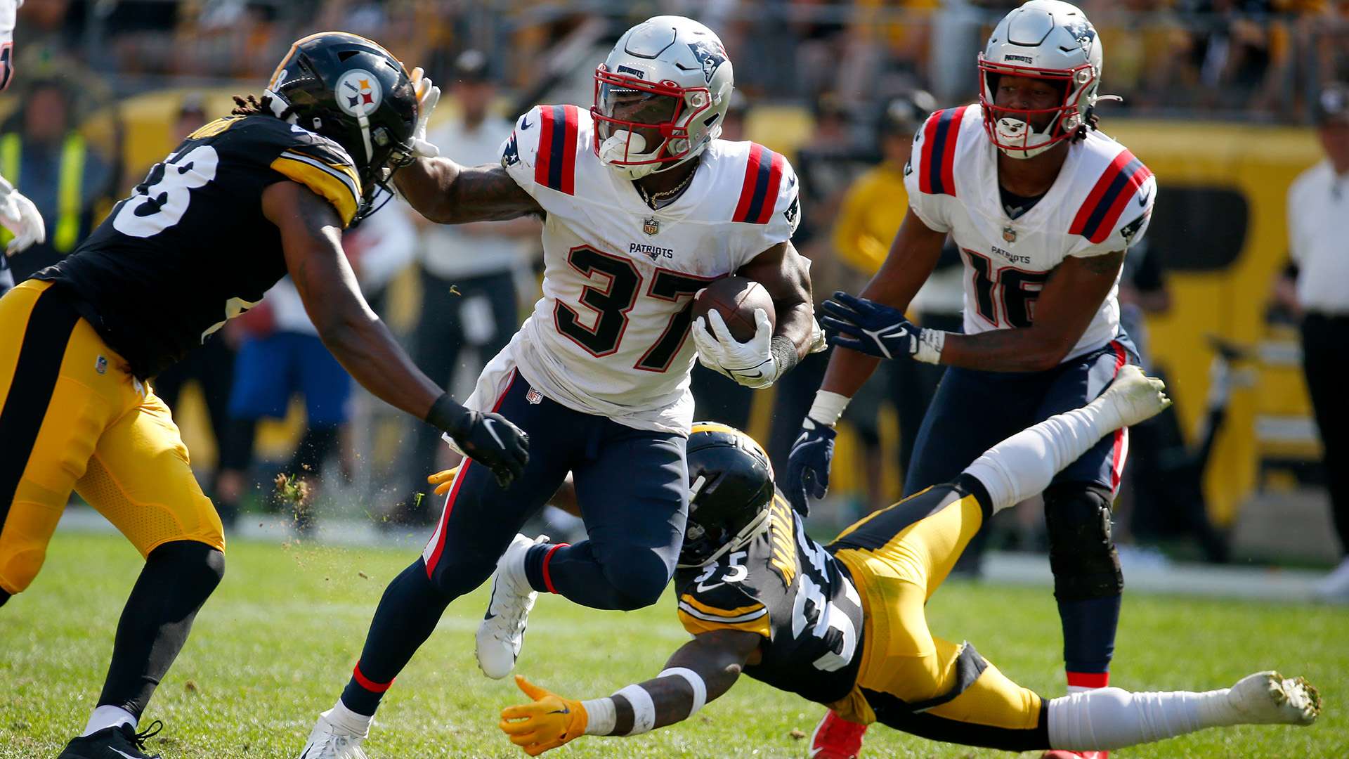 展现出很好 展现出很好